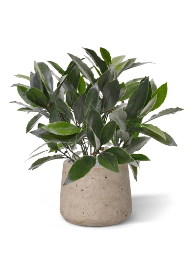 Pianta artificiale di alloro da 35 cm - resistente ai raggi UV