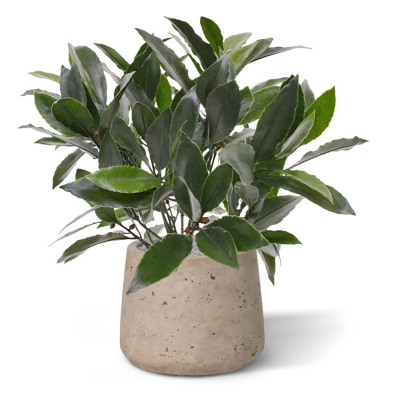 Pianta artificiale di alloro da 35 cm - resistente ai raggi UV