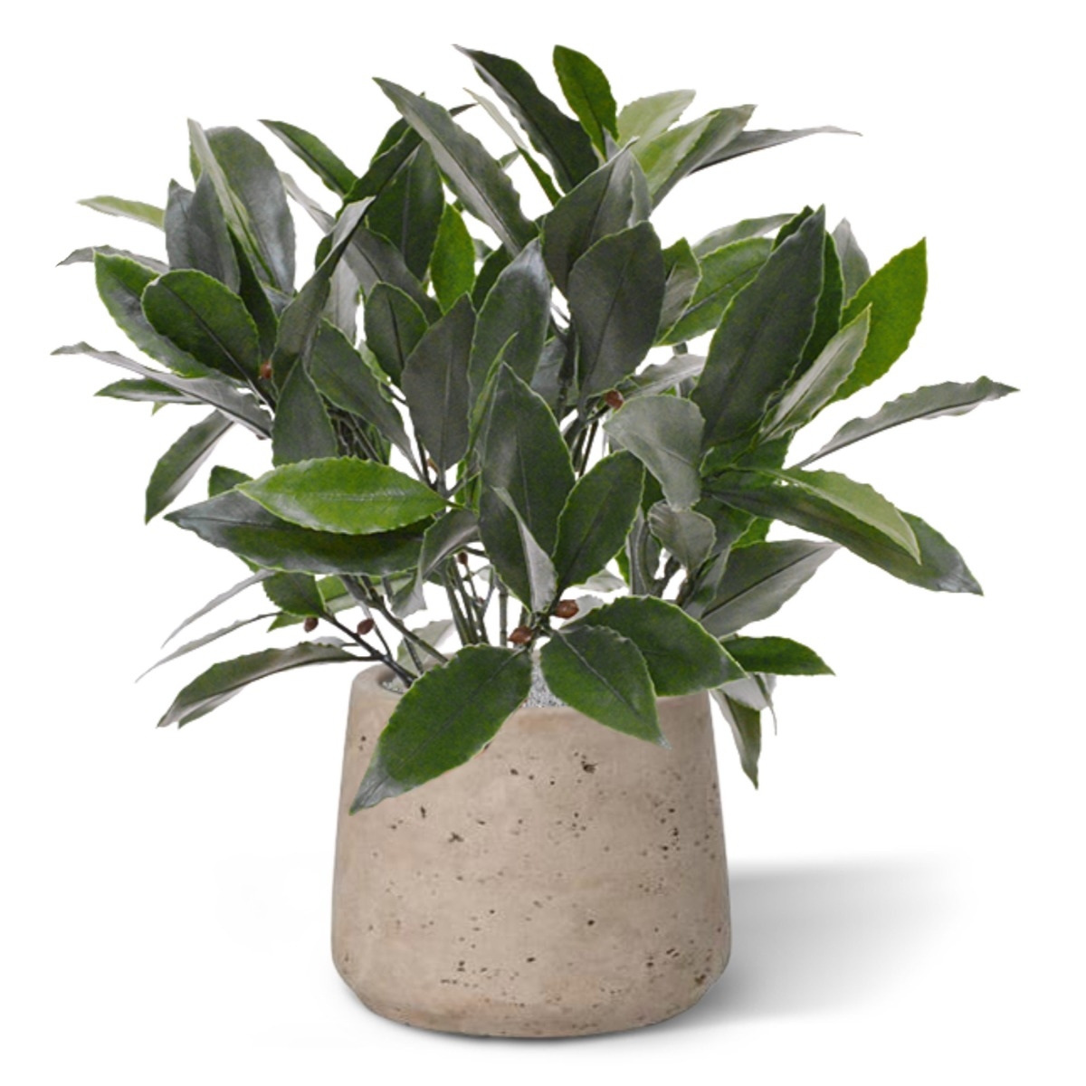 Pianta artificiale di alloro da 35 cm - resistente ai raggi UV