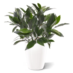 Pianta artificiale di alloro da 35 cm - resistente ai raggi UV