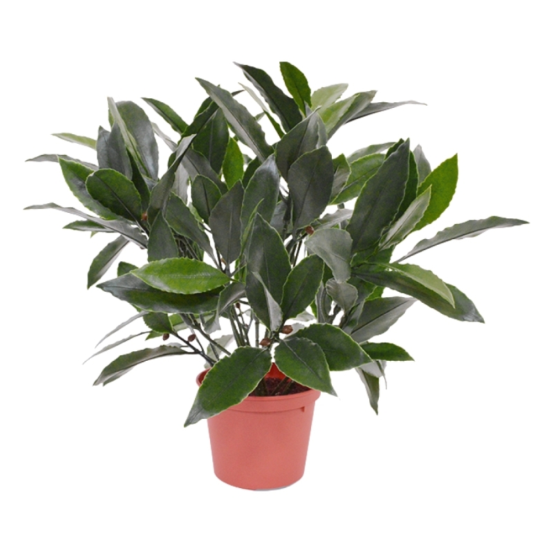 Pianta artificiale di alloro da 35 cm - resistente ai raggi UV