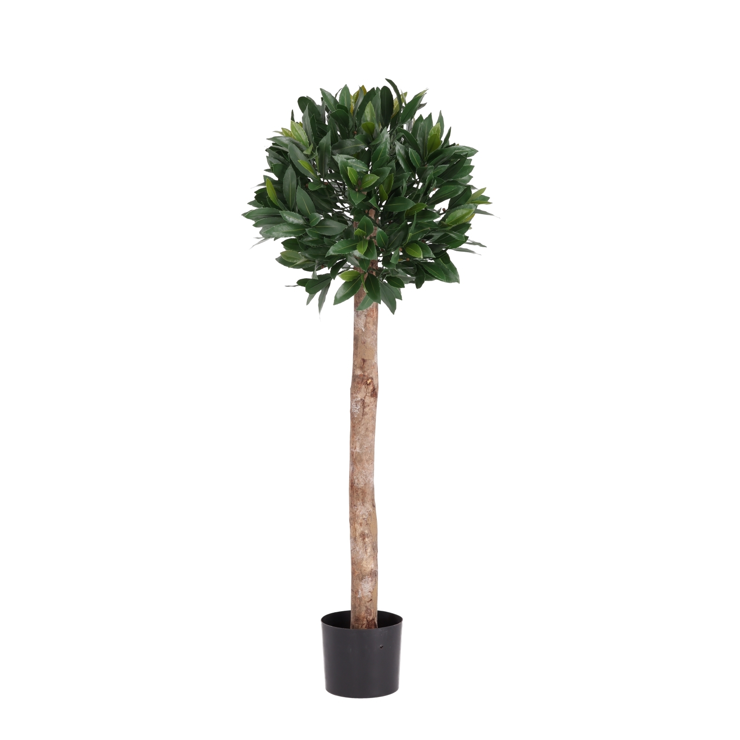 Artificiale Alloro Sfera su fusto 120cm UV