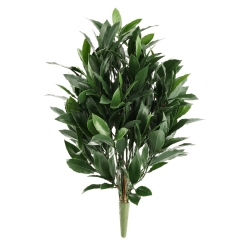 Alloro Artificiale 50cm UV