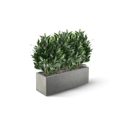 Alloro Artificiale 50cm UV