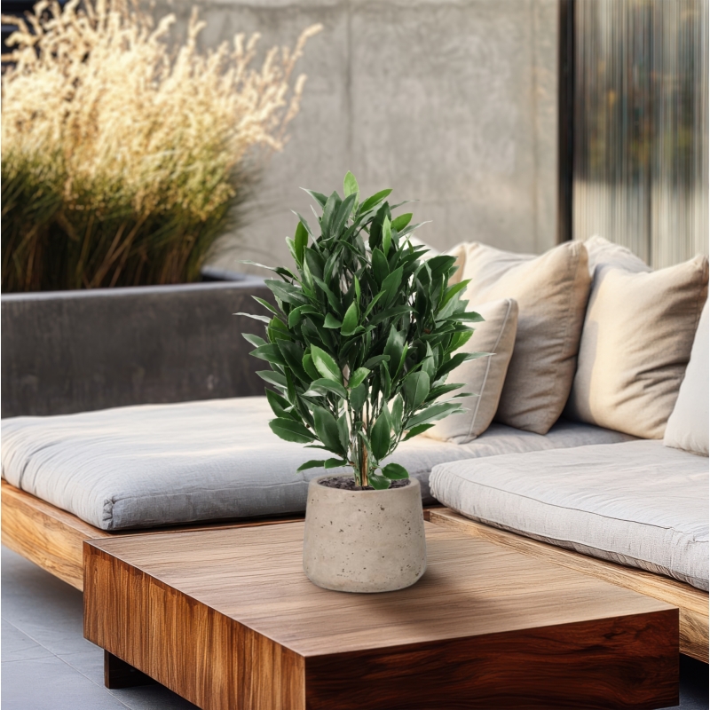 Alloro Artificiale 50cm UV