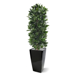 Pianta artificiale a colonna di alloro 125 cm - resistente ai raggi UV