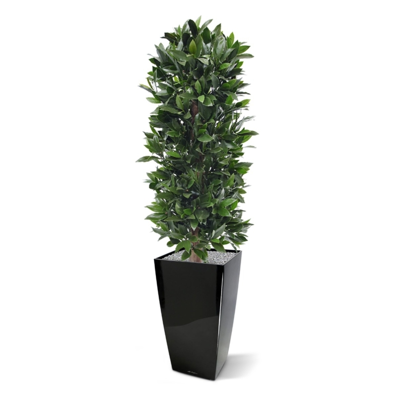 Pianta artificiale a colonna di alloro 125 cm - resistente ai raggi UV
