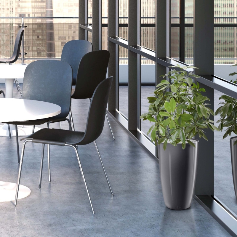 Pianta artificiale Schefflera 50 cm anti-UV