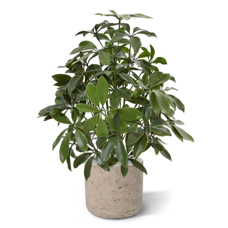 Pianta artificiale Schefflera 50 cm anti-UV