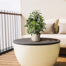 Pianta artificiale Schefflera 50 cm anti-UV
