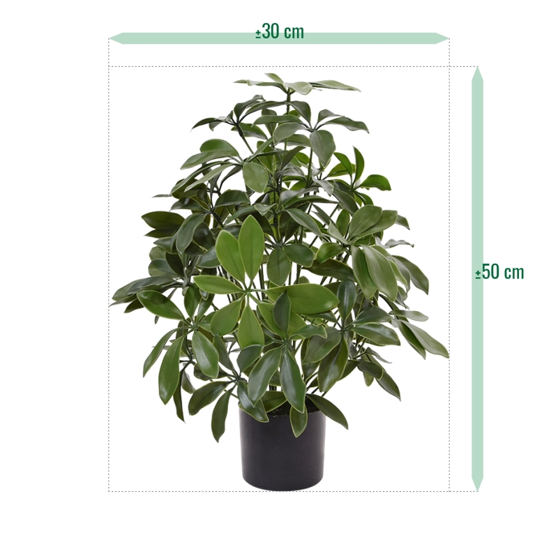 Pianta artificiale Schefflera 50 cm anti-UV