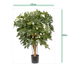 Pianta artificiale Schefflera 80cm