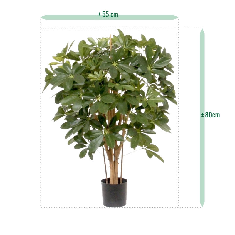 Pianta artificiale Schefflera 80cm