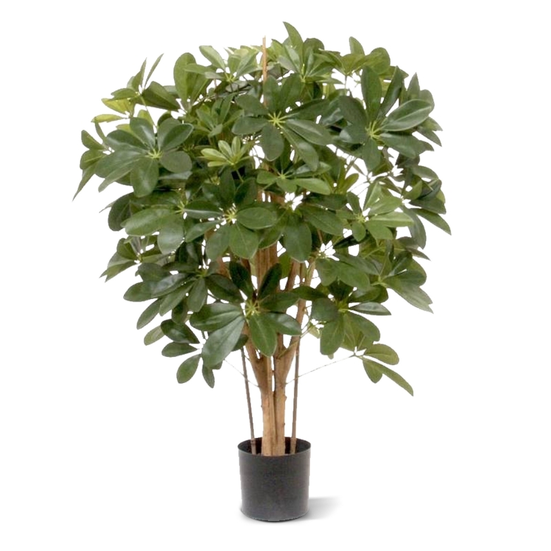 Pianta artificiale Schefflera 80cm