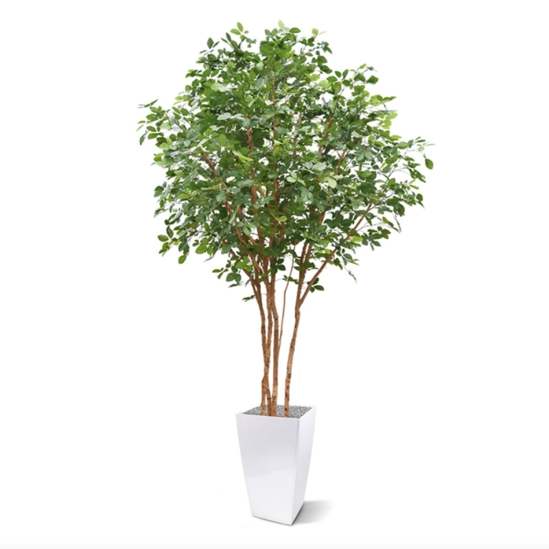 Albero artificiale di faggio comune deluxe 350 cm