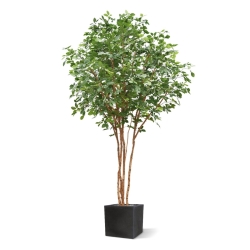Albero artificiale di faggio comune deluxe 350 cm ignifugo