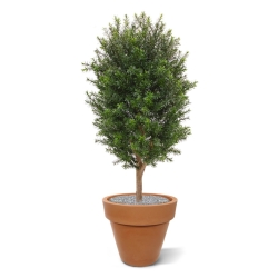 Pianta artificiale di tasso a colonna 90 cm - resistente ai raggi UV