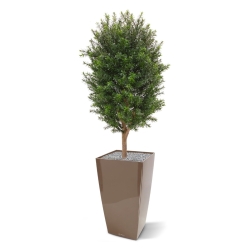 Pianta artificiale di tasso a colonna 90 cm - resistente ai raggi UV