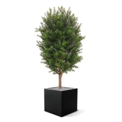 Pianta artificiale di tasso a colonna 90 cm - resistente ai raggi UV