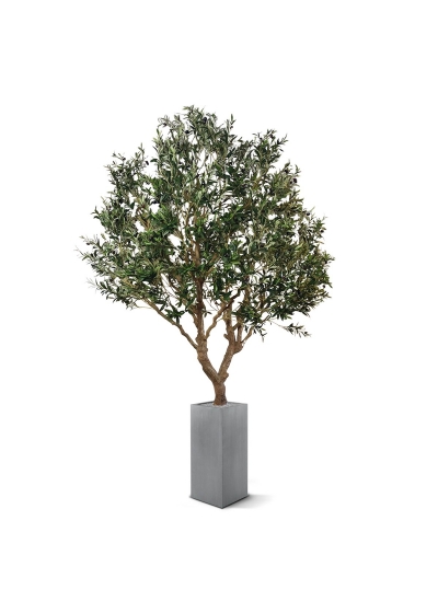 Ulivo artificiale XL 300 cm su piatto