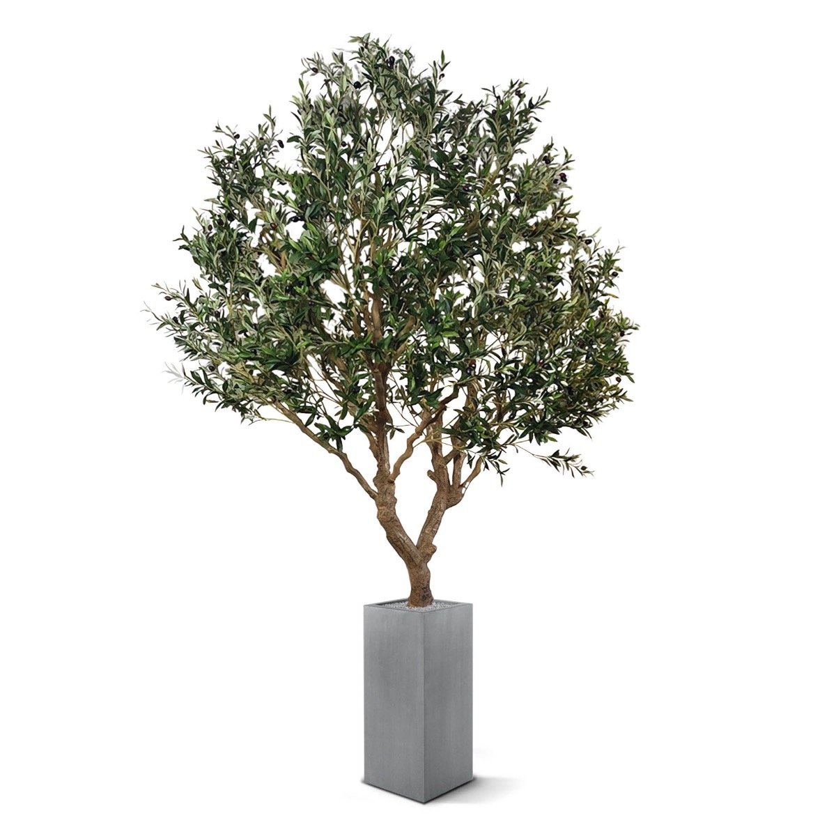 Ulivo artificiale XL 300 cm su piatto