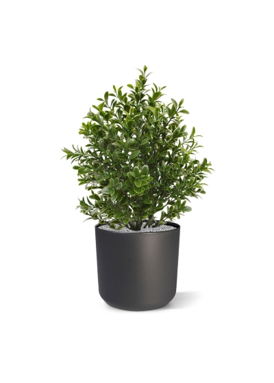 Pianta artificiale di bosso 30 cm - resistente ai raggi UV