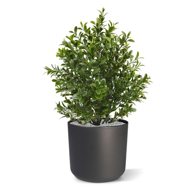 Pianta artificiale di bosso 30 cm - resistente ai raggi UV