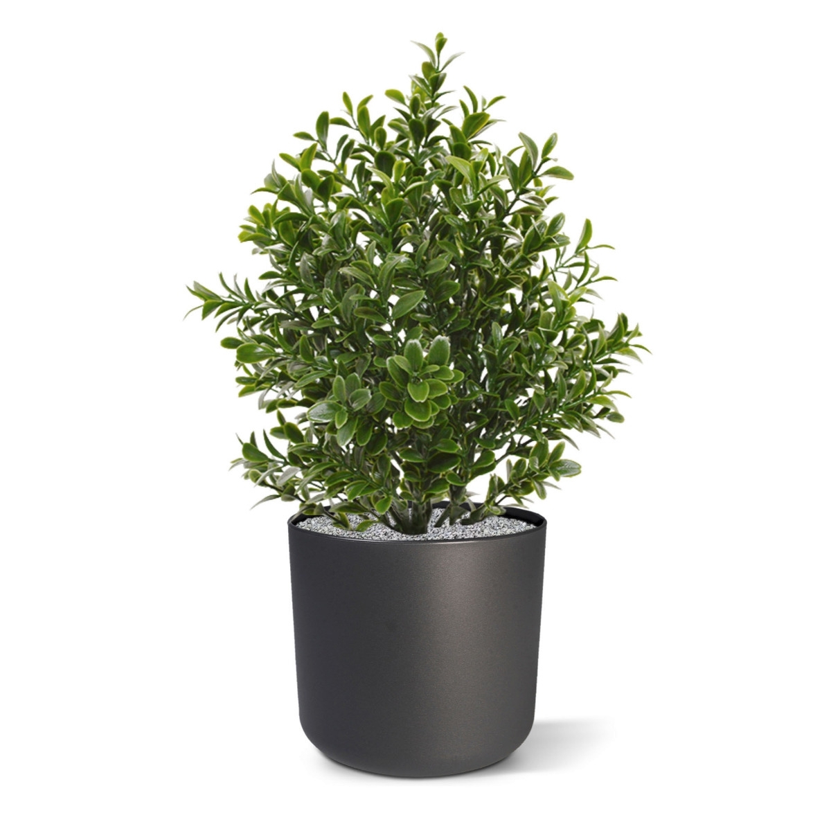 Pianta artificiale di bosso 30 cm - resistente ai raggi UV