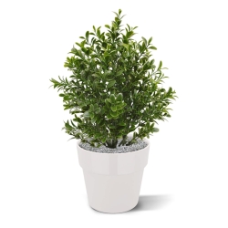 Pianta artificiale di bosso 30 cm - resistente ai raggi UV