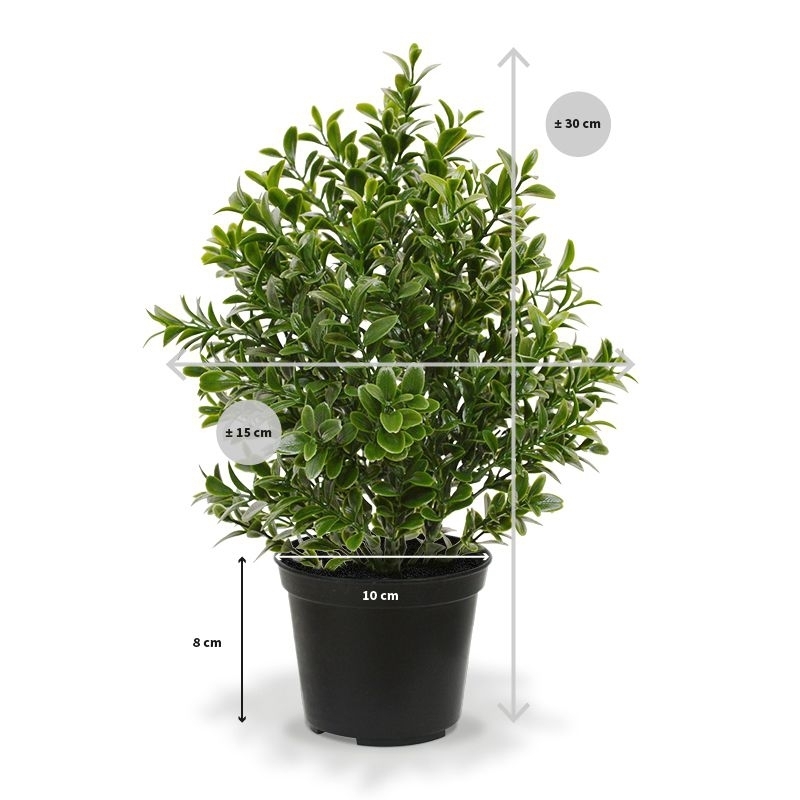 Pianta artificiale di bosso 30 cm - resistente ai raggi UV