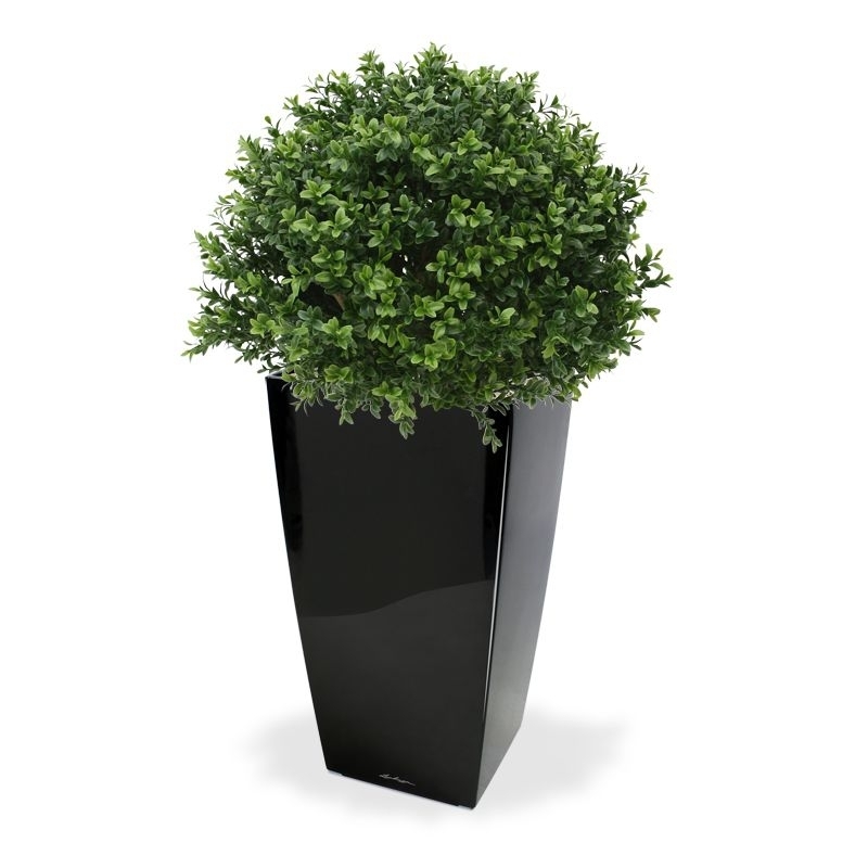 Bosso bulbo deluxe pianta artificiale 40 cm