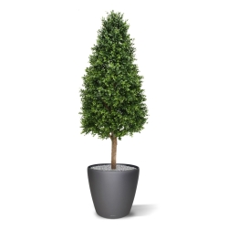 Pianta artificiale a torre di Buxus 140 cm - resistente ai raggi UV