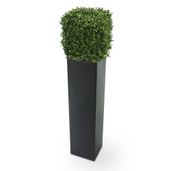 Bosso artificiale quadrato 30 cm - Resistente ai raggi UV