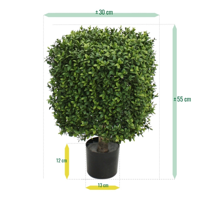 Bosso artificiale quadrato 30 cm - Resistente ai raggi UV
