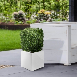 Bosso artificiale quadrato 30 cm - Resistente ai raggi UV