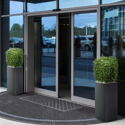 Bosso artificiale quadrato 30 cm - Resistente ai raggi UV