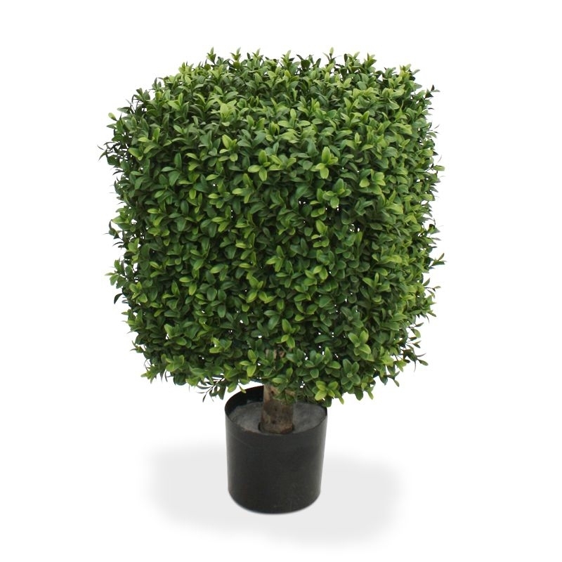 Bosso artificiale quadrato 30 cm - Resistente ai raggi UV