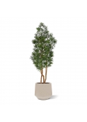 Albero artificiale Podocarpus 150cm resistente UV-proof