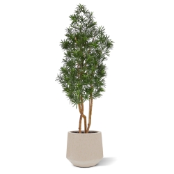 Albero artificiale Podocarpus 150cm resistente UV-proof