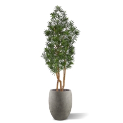 Albero artificiale Podocarpus 150cm resistente UV-proof