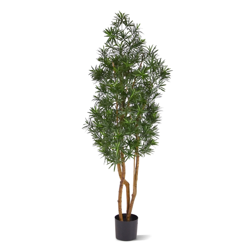 Albero artificiale Podocarpus 150cm resistente UV-proof