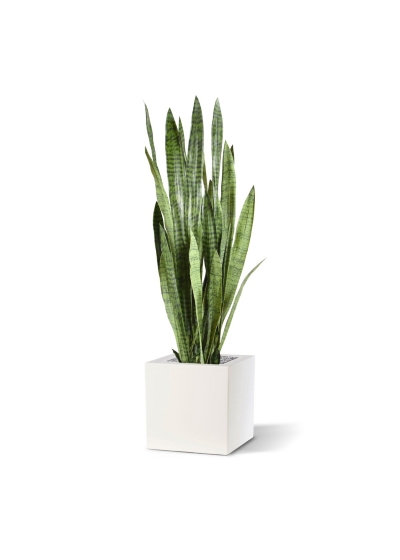 Pianta artificiale di Sanseveria 130 cm - verde