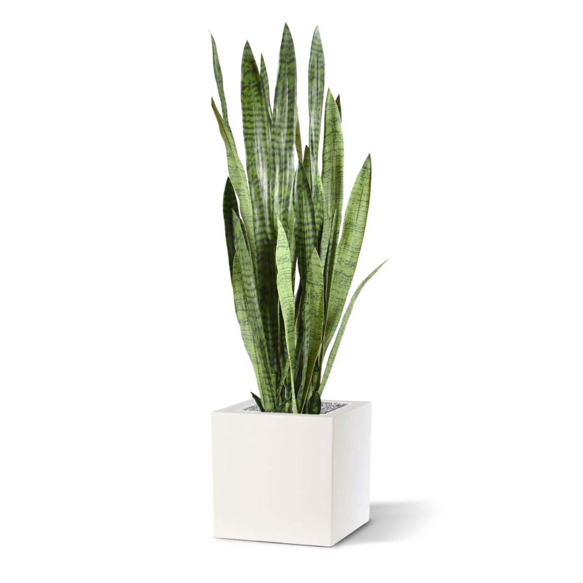 Pianta artificiale di Sanseveria 130 cm - verde
