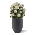 Geranio artificiale a palla 50cm UV crema