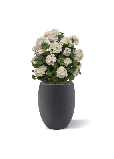 Geranio artificiale a palla 50cm UV crema