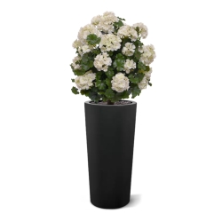 Geranio artificiale a palla 50cm UV crema