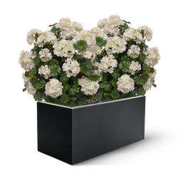 Geranio artificiale a palla 50cm UV crema