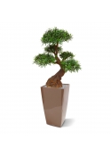 Podocarpus Bonsai pianta artificiale 90cm - resistente ai raggi UV