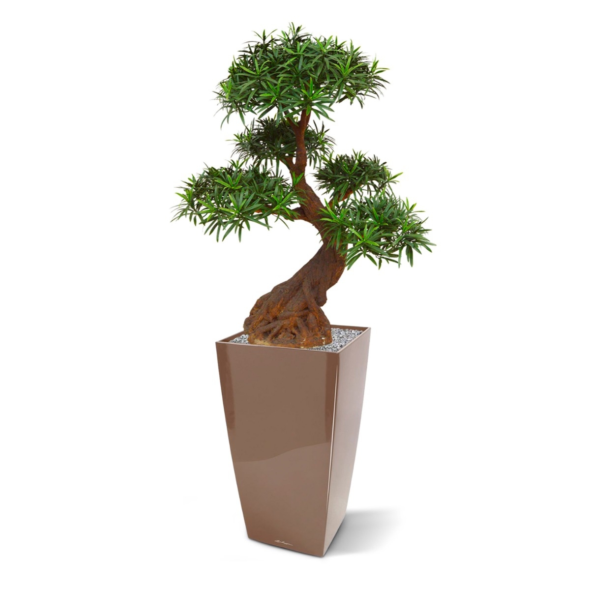 Podocarpus Bonsai pianta artificiale 90cm - resistente ai raggi UV