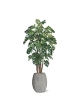 Albero artificiale Monstera Giant deluxe 210 cm